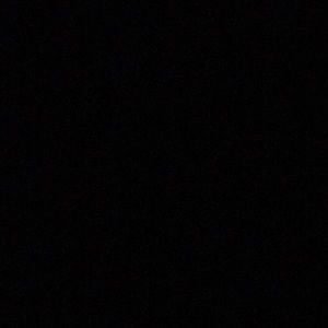 Meet your Posher, Lincoln